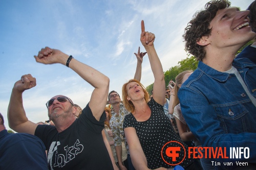 Bevrijdingsfestival Utrecht 2014 foto