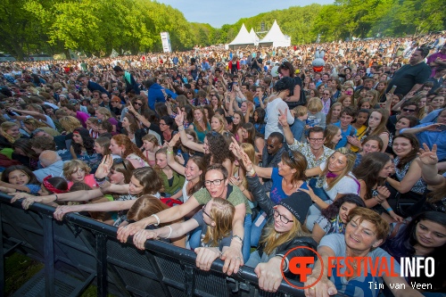 Kensington op Bevrijdingsfestival Utrecht 2014 foto