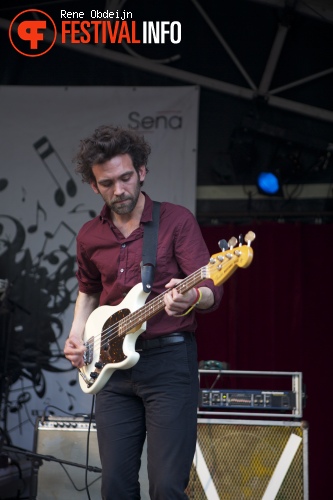 The Vagary op Bevrijdingsfestival Overijssel 2014 foto