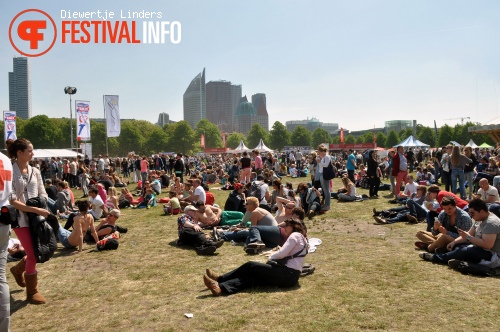 Bevrijdingsfestival Den haag foto