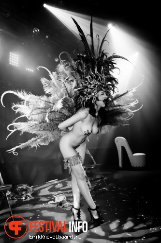 Amsterdam Burlesque Weekend 2014 foto