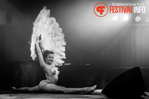 Amsterdam Burlesque Weekend 2014 foto