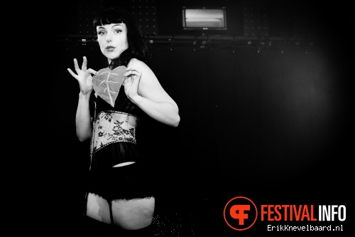 Amsterdam Burlesque Weekend 2014 foto