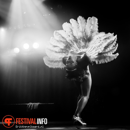 Amsterdam Burlesque Weekend 2014 foto