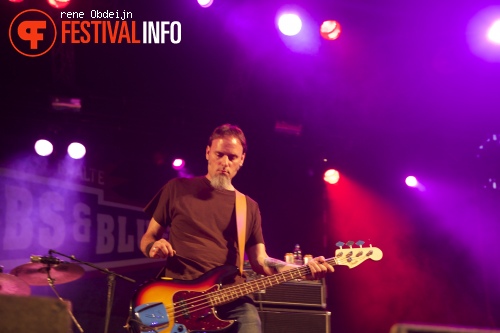 Ribs & Blues 2014 foto