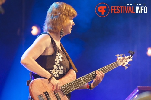 John F. Klaver Band op Ribs & Blues 2014 foto