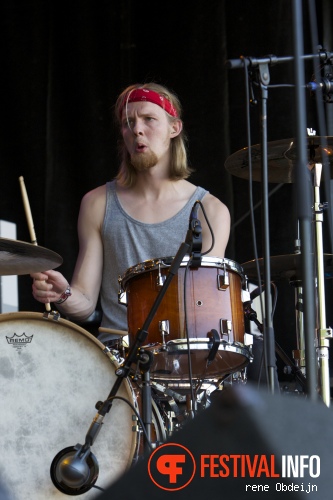 Texas Radio op Ribs & Blues 2014 foto