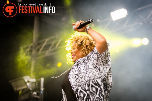 Shermanology op Indian Summer Festival 2014 foto