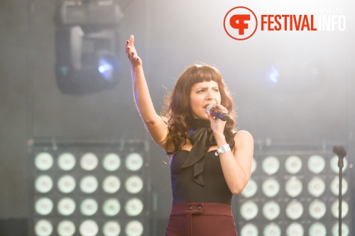 Parov Stelar op Indian Summer Festival 2014 foto