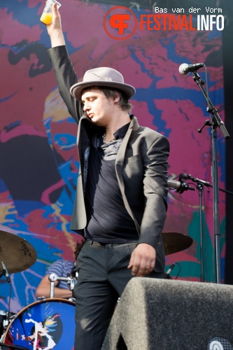 Babyshambles op Best Kept Secret 2014 - dag 2 foto