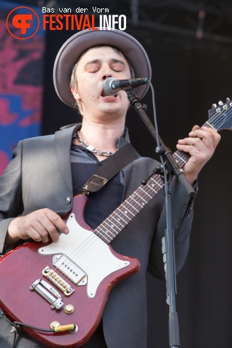 Babyshambles op Best Kept Secret 2014 - dag 2 foto