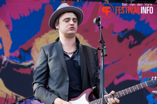 Babyshambles op Best Kept Secret 2014 - dag 2 foto