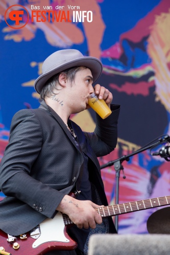 Babyshambles op Best Kept Secret 2014 - dag 2 foto