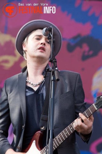 Babyshambles op Best Kept Secret 2014 - dag 2 foto