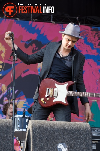 Babyshambles op Best Kept Secret 2014 - dag 2 foto