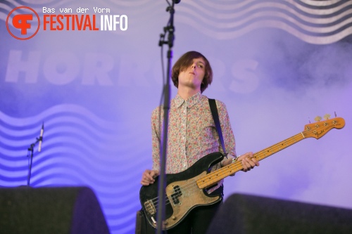 The Horrors op Best Kept Secret 2014 - dag 3 foto