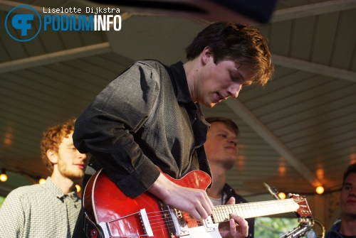 Jungle By Night op ZOOmeravond: Jungle By Night - 21/6 - Artis foto