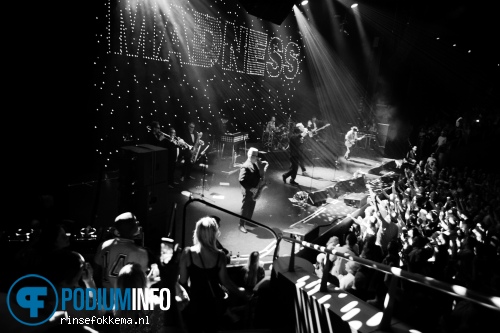 Madness op Madness 29/06 TivoliVredenburg foto