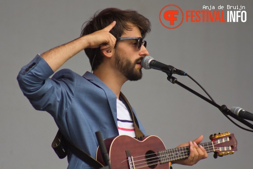 We Were Evergreen op Parkpop 2014 foto