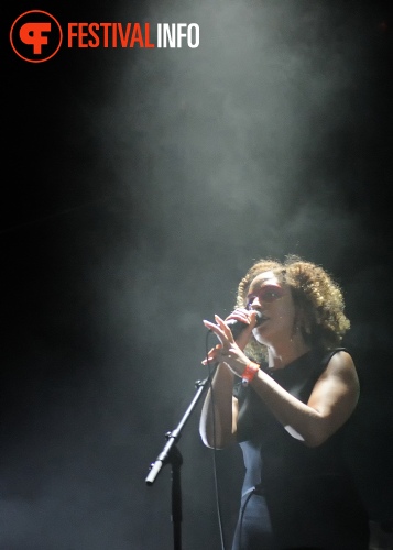 Massive Attack op Pitch 2014 foto