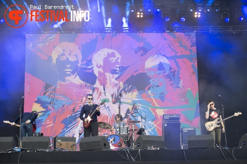 Babyshambles op Rock Werchter 2014 - dag 4 foto