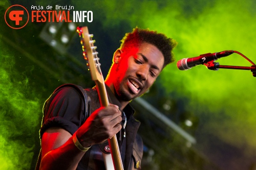 The Bohicas op Metropolis Festival 2014 foto