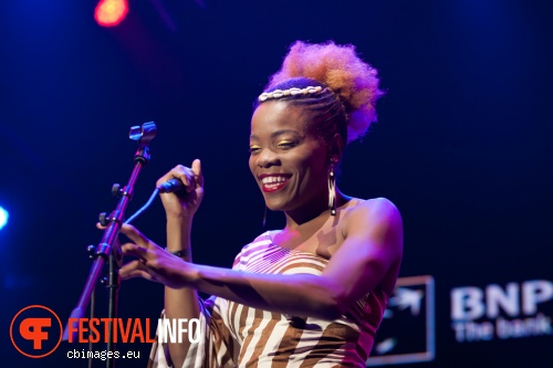 Snarky Puppy op North Sea Jazz 2014 - dag 2 foto