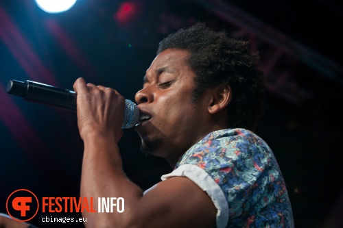 Typhoon op North Sea Jazz 2014 - dag 2 foto