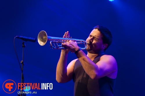 The Cat Empire op North Sea Jazz 2014 - dag 2 foto