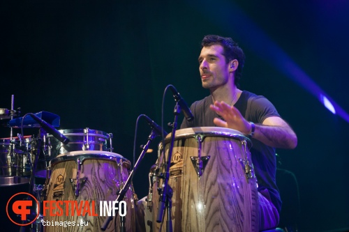 The Cat Empire op North Sea Jazz 2014 - dag 2 foto