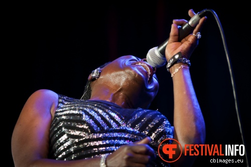 Sharon Jones & The Dap-Kings op North Sea Jazz 2014 - dag 3 foto