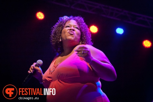 Sharon Jones & The Dap-Kings op North Sea Jazz 2014 - dag 3 foto