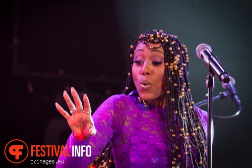 Nile Rodgers & Chic op North Sea Jazz 2014 - dag 3 foto