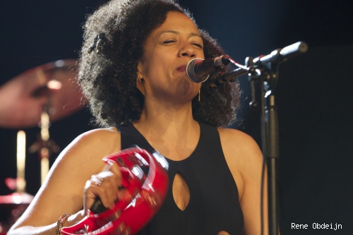 Heritage Blues Orchestra op Bospop 2014 - dag 1 foto