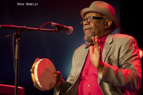 Heritage Blues Orchestra op Bospop 2014 - dag 1 foto