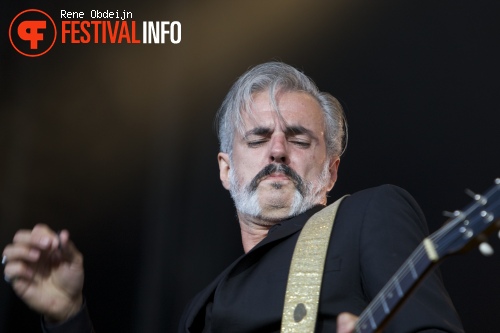 Triggerfinger op Bospop 2014 - dag 2 foto