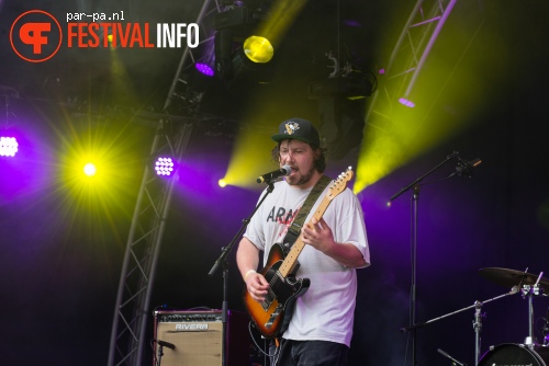 Nano-Tyrannus op Werfpop 2014 foto