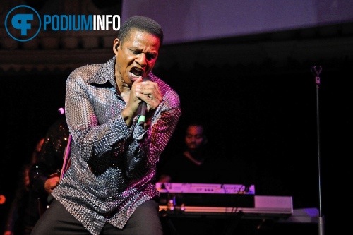 The Jacksons op The Jacksons - 30/7 - Paradiso foto