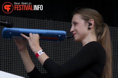 Ozark Henry op Suikerrock 2014 foto