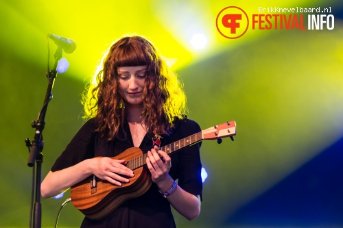 Nick Mulvey op Lowlands 2014 - dag 2 foto