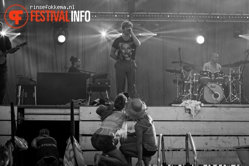 Racoon op Strandfestival Zand 2014 foto