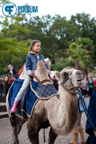 Efteling Negen Pleinen Festijn 2014: 3J's foto