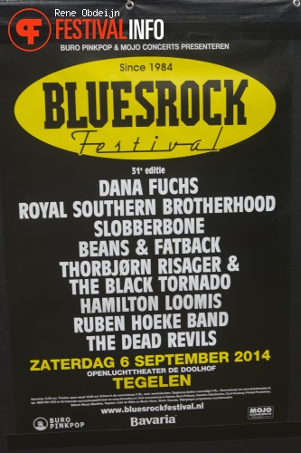 Bluesrock Tegelen 2014 foto