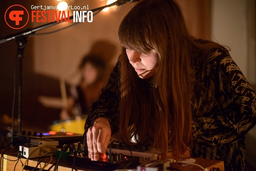 Foto Bird on the Wire op Woot! Woot! Woolf 2014