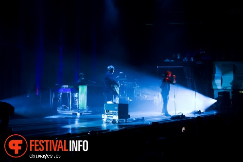 Racoon op Songbird 2014 - dag 1 foto