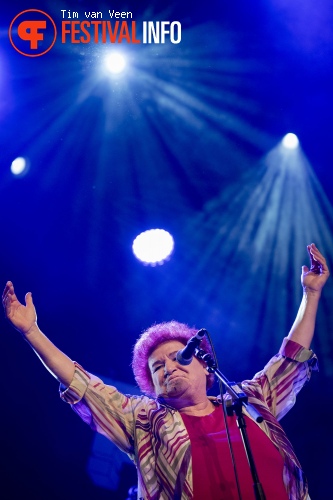 Selda Bağcan op Le Guess Who? 2014 foto
