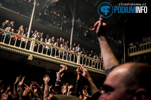 Selah Sue - 25/11 - Paradiso foto