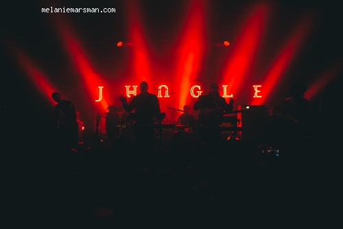 Jungle op Jungle - 5/12 - TivoliVredenburg foto