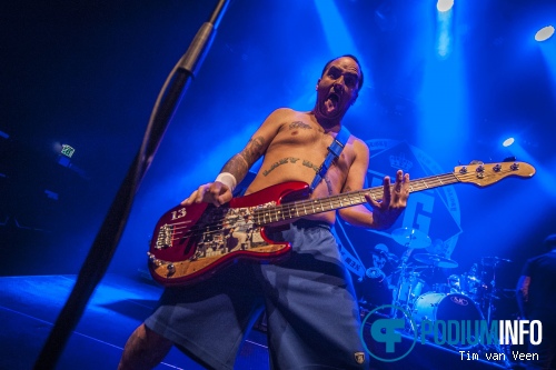 New Found Glory op New Found Glory - 2/12 - TivoliVredenburg foto