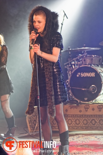 Kovacs op Noorderslag 2015 foto